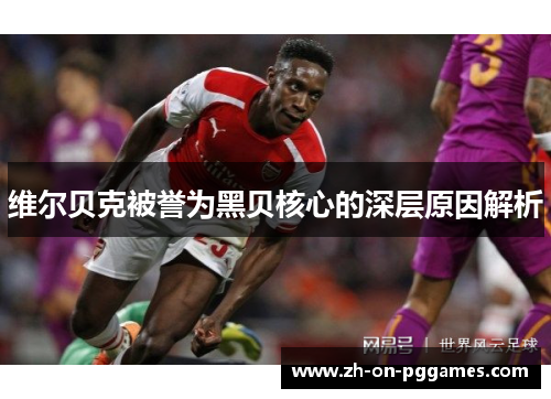 维尔贝克被誉为黑贝核心的深层原因解析 维尔贝克被誉为黑贝核心的深层原因解析